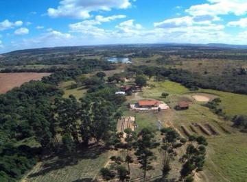 mfmtrg82nmu4mwuyngixytjh_md · Fazenda para Venda - FAZENDA, Paraopeba - 980000m²