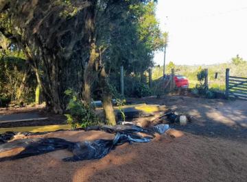 202510241107596813.jpeg · Sítio para Venda em Viamão, Passo do Vigário, 1 dormitório, 1 banheiro