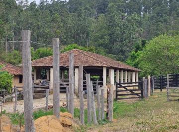 Foto 01 · *FAZENDA COM EUCALIPTO A VENDA - VALE DO PARAÍBA - SÃO PAULO* ?? Área Total: 216 Alqueires ou 523