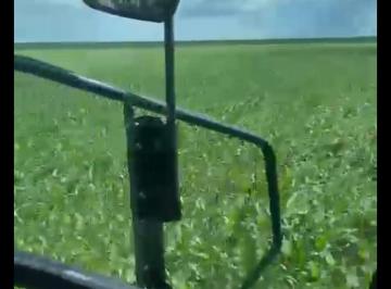 Rural de 4 quartos, Correntina · Fazenda à Venda em Correntina – Bahia | 10.846 hectares