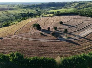 Rural · 1379399936m² · 3 Quartos · 2 Vagas · 57 Alqueires Produtivos em Echaporã/SP — Solo Fértil, Topografia Leve e Acesso a 1 km da Cidade