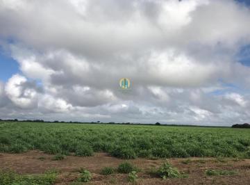 Rural · 1030m² · Fazenda à venda em Barreiras/BA