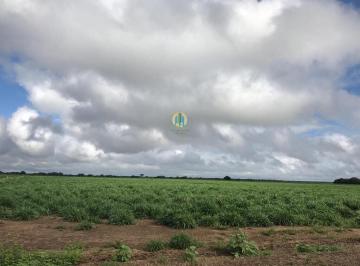 Rural · 1030m² · Fazenda à venda em Barreiras/BA