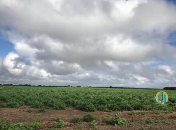 Rural · 1030m² · Fazenda à venda em Barreiras/BA