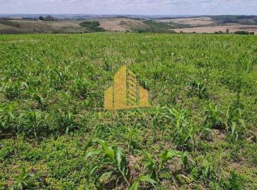Rural · 570000m² · Rurais à venda - em Ibiá
