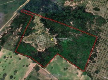 Terreno · 60000m² · Area com 6 hectares a venda - Nisia floresta