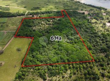 Terreno · 60000m² · Area com 6 hectares a venda - Nisia floresta