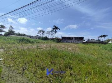 23965725_4.jpg · Terreno para investidor Pontal do Paraná