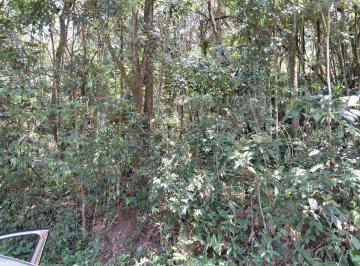 Terreno , Rio Grande da Serra · Área 66.863 M2 Rio Grande da Serra