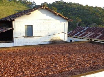 Rural de 3 quartos, Ubaitaba · Vendo excelente fazenda em Ubaitaba