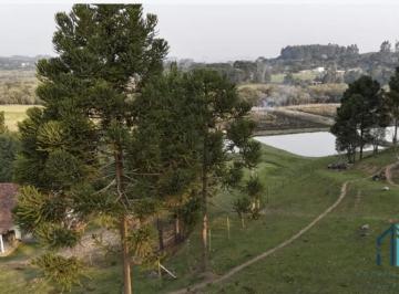 Foto 41 · Chácara à venda na Fazenda Rio Grande - Próximo a Mandirituba -PR