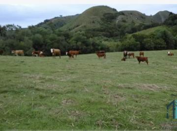 Foto 01 · Fazenda 804 hectares a venda, Oportunidade de Negócio, Santana da Boa Vista - Caçapava do Sul - RS
