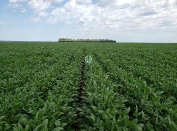 Rural · 6500m² · Fazenda à venda em Porto Alegre do Norte/MT