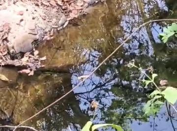 Rural , Ceilândia · BENDO BELÍSSIMA CHÁCARA NA DF-190 UM LUGAR P/VC E SUA DESCANSAR AOS FINAIS DES!