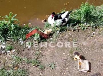 Rural · 100m² · 3 Quartos · Chácara em Estrada Antônio Gerassi - Jardim Santa Lúcia - Embu-Guaçu/SP