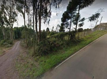 Foto 03 · ÁREA TERRA PARA VENDA EM LINHA FEIJÓ - 5,42 hectares