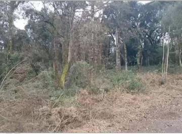 Foto 01 · TERRENO 3.000 M² para venda em  Pedras Brancas - São Marcos