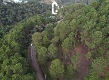 dji_fly_20250328_170326_670_1743545612032_photo-jpg1743546311396.jpg · Condomínio Iporanga à venda, Iporanga, Campos do Jordão, SP
