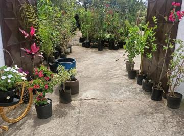 Comercial de 1 quarto, São Paulo · Ponto Comercial de Jardinagem com Edícula na Vila São José 