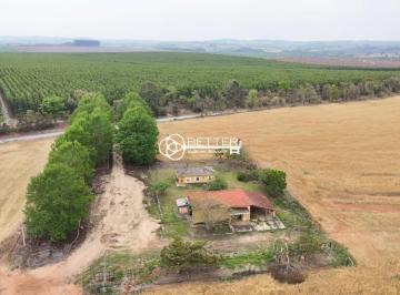 Foto 03 · FAZENDA 290 HA PLANTIO DE SOJA AGRO NEGOCIO - ITAPETININGA/SP