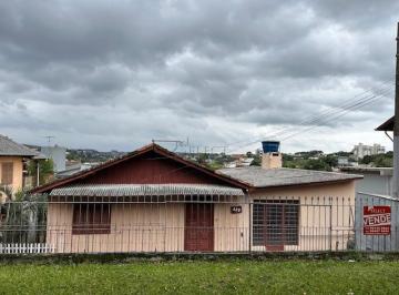 42155976_g.jpg · 
                                Terreno
                            