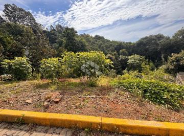 695257_i8223677h7_6952576824d24003421.jpg · Amplo terreno de 426,5m² no Bairro Santa Marta