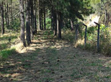 Rural , Francisco Morato · Área 3,5 alq (84.000 m2) p/ loteamento ou plantio – poço e frutíferas