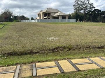 Terreno · 717m² · Terreno à venda no bairro Pedancino