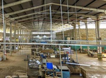 152277_3b543272-a306-44a8-ae28-d057a6fdc4d6_2x.JPG · Piauí - Industria de cartonagem