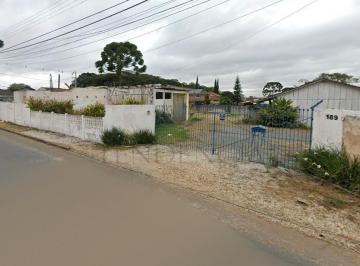 Terreno · 6000m² · Terreno de esquina para locação, 6.000 m2, SANTA FELICIDADE, CURITIBA - PR