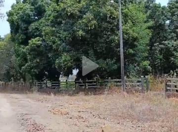 Rural de 5 quartos, Bom Jesus da Lapa · Fazenda de 5.000 ha em Bom Jesus da Lapa-BA, com 800 ha irrigados