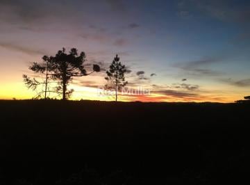 Rural , Campina Grande do Sul · ÁREA PARA CHACÁRA EM CAMPINA GRANDE DO SUL - 38.000 M2 APROXIMADO