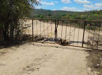 Terreno · 20000m² · Terreno Venda Campestre