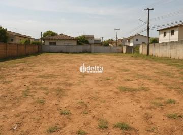 Terreno · 250m² · Terreno com 250m² disponível para venda no bairro Morumbi em Uberlândia - MG.