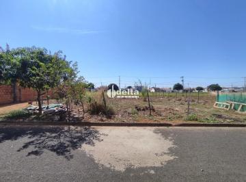 Terreno · 250m² · Terreno com 250 m² disponível para venda no bairro Morumbi em Uberlândia-MG