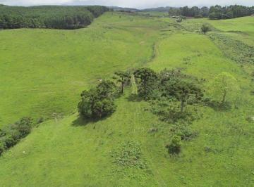 Rural · 6ha · Área com 6,8 hectares, perto do centro de São Chico!!