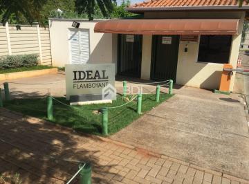 0 · apartamento à venda em Parque Yolanda (Nova Veneza)
