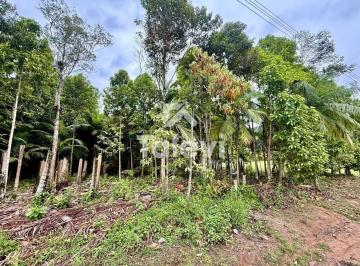 Terreno · 1004m² · Terreno raro em Testo Alto com viabilidade pronta para até 4 unidades | Construa ou invista com segu