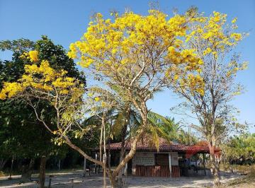 Terreno · 49490m² · Vende-se área de 49.490,90 m² na MA-204 (Paço do Lumiar)