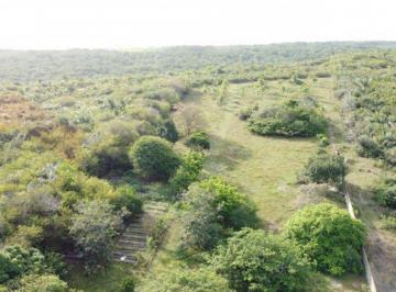 Terreno · Terreno para Venda em Raposa, Araçagi