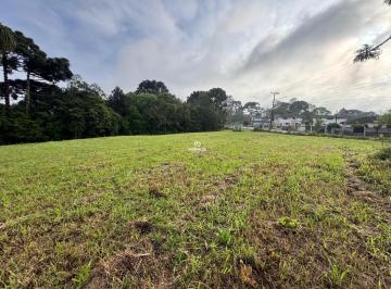 Chácara em São José dos Pinhais - Campo Largo da Roseira (CH02885) · Chacara no Campo Largo da Roseira