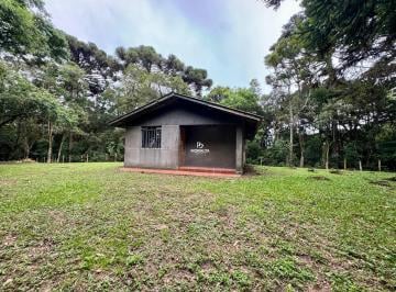 Chácara em São José dos Pinhais - Campo Largo da Roseira (CH02885) · Chacara  no Campo Largo da Roseira
