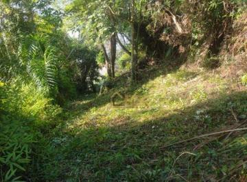 31ec014e98eb1433c9892ceea6e26c6448c5b4d3 · Terreno a venda, 21.153,97m² por 1.700.000,00 - Praia de Ubatumirim - Ubatuba/SP