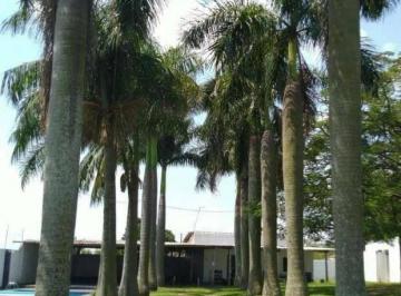 330c9acdb358c45b0bd1ab5cc27d8c4d0239f6f2 · Chácara com 2 dormitórios à venda, 2821 m² por R$ 2.000.000 - Recanto Ceci - Nova Odessa/SP