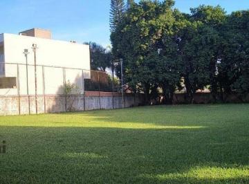 1eacad35bdee43f1546d312f02a34bc768eaffe0 · Terreno à venda, 1000 m² por R$ 650.000,00 - Jardim Éden - Nova Odessa/SP
