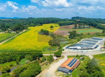 202510172329455056.jpeg · Oportunidade na Colônia Mergulhão, área a venda com mais de 114mil metros