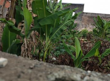 Terreno , Arujá · Terreno 250m² a venda parque Rodrigo Barreto Arujá, aclive bem leve