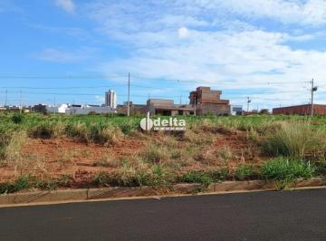 Terreno · 250m² · Terreno disponível para venda no bairro Verde Umuarama em Uberlândia MG