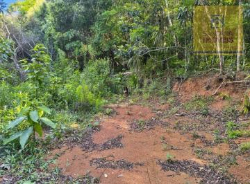 6934718396ee21d19af66eb1e46d04ad466e2e8f · Área à venda, 58650 m² por R$ 650.000,00 - Bateias - Campo Largo/PR