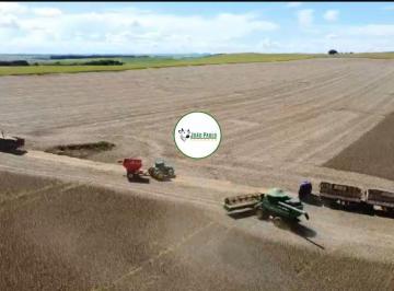 Rural , Cristalina · Fazenda a venda em Cristalina - GO - 315 HA - Área de plantio atual 215 Hectares 